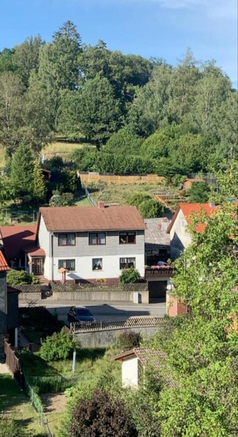 Haus Wiesenblick Walkenried Kültér fotó